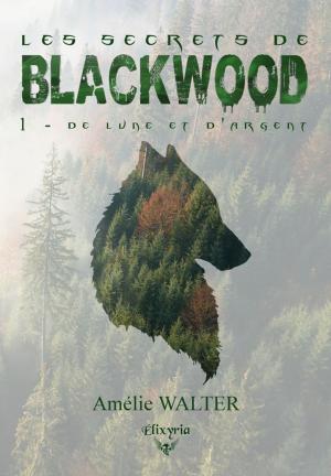 Cover of the book Les secrets de Blackwood by Tasha Lann