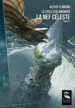 Cover of the book La Nef Céleste by Anita Oh