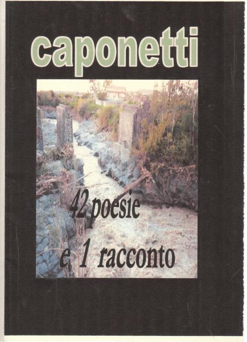 Cover of the book 42 poesie e 1 racconto by arnaldo s.  caponetti, aron