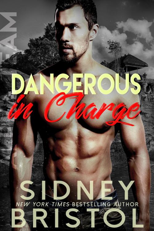 Cover of the book Dangerous in Charge by Sidney Bristol, Inked Press