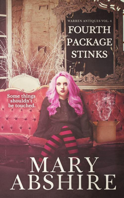 Cover of the book Fourth Package Stinks by Mary Abshire, Mary Abshire