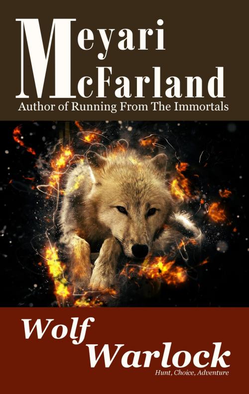 Cover of the book Wolf Warlock by Meyari McFarland, MDR Publishing