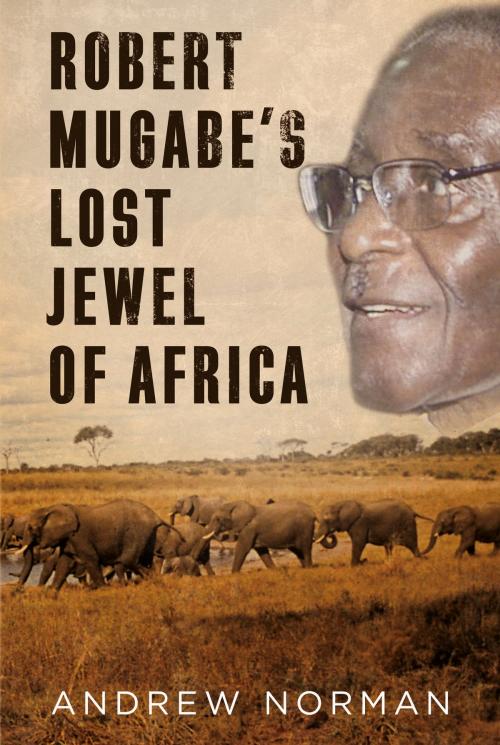 Cover of the book Robert Mugabe's Lost Jewel of Africa by Andrew Norman, Fonthill Media