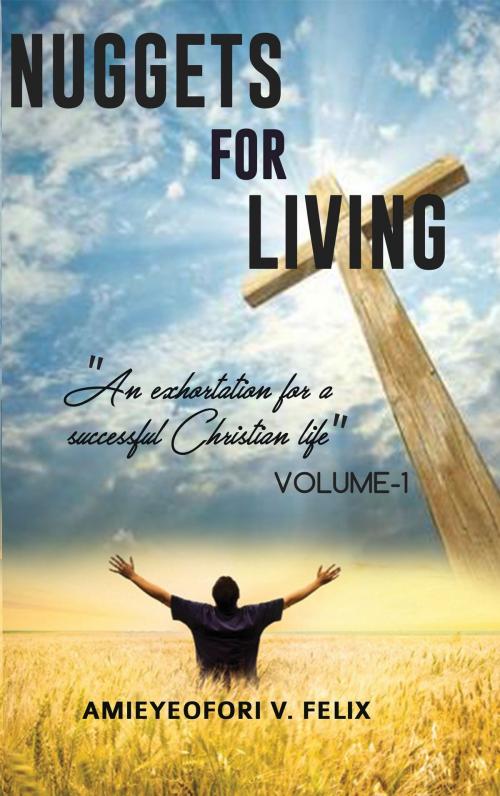 Cover of the book Nuggets for Living - Volume 1 by Aimeyeofori V. Felix, Book Preneur