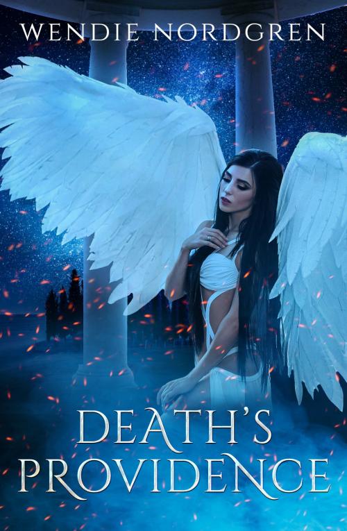Cover of the book Death's Providence by Wendie Nordgren, Wendie Nordgren
