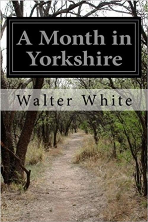 Cover of the book A MONTH IN YORKSHIRE by WALTER WHITE, Jwarlal
