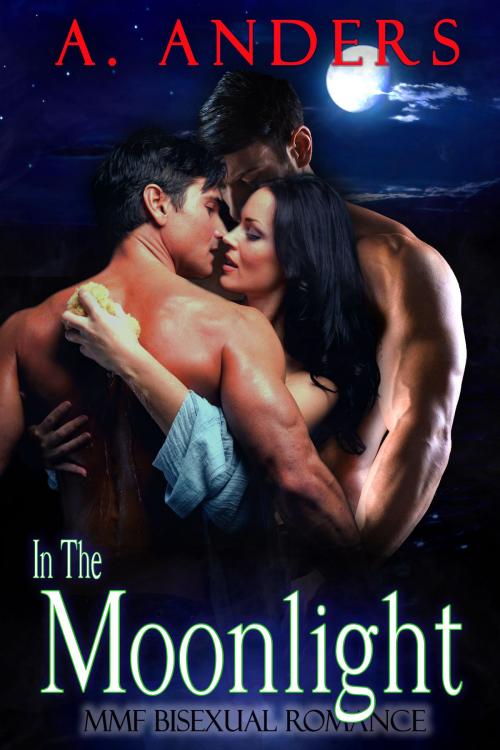 Cover of the book In The Moonlight by A. Anders, Alex Anders, RateABull Publishing