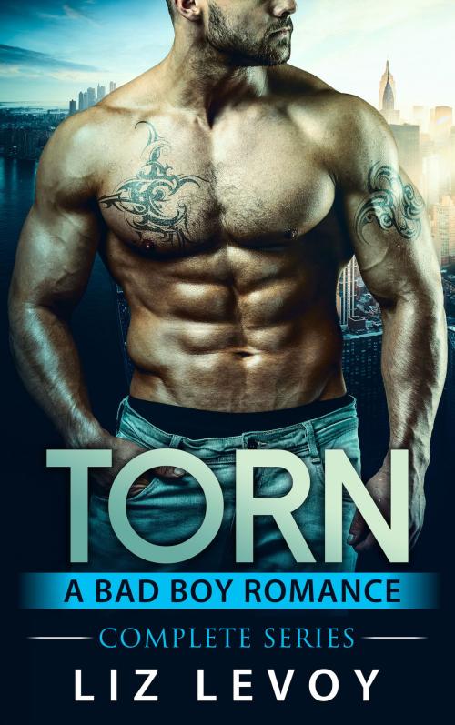 Cover of the book Torn 1-4 by Liz Levoy, Dao Press LLC
