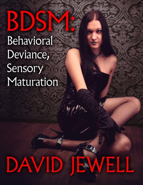 Cover of the book BDSM by David Jewell, Sizzler Editions