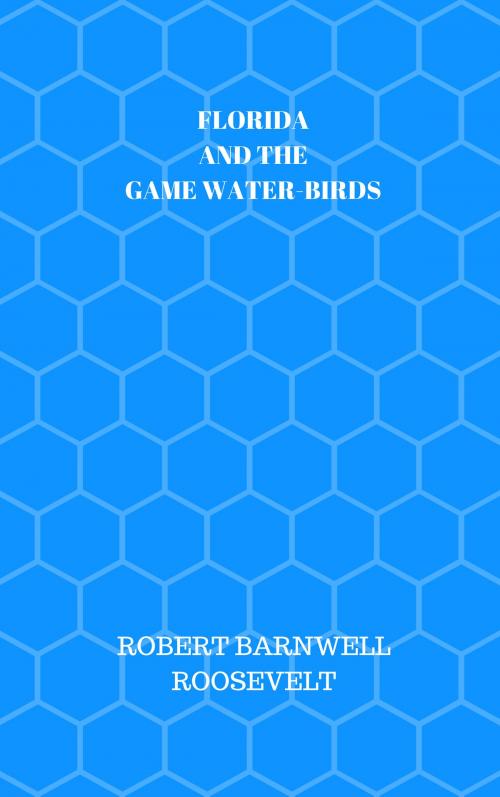 Cover of the book FLORIDA AND THE GAME WATER-BIRDS by ROBERT BARNWELL ROOSEVELT, Jwarlal