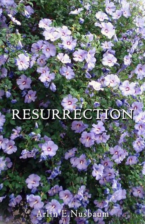 Cover of the book RESURRECTION 3:33 by Arlin E Nusbaum, Alpha & Omega Publishing