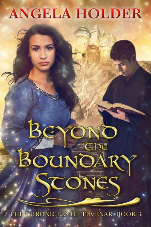 Cover of the book Beyond the Boundary Stones by Angela Holder, Deore Press