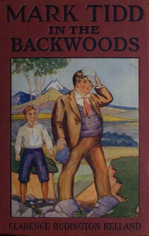 Cover of the book Mark Tidd in the Backwoods by Clarence Budington Kelland, Green Bird Press