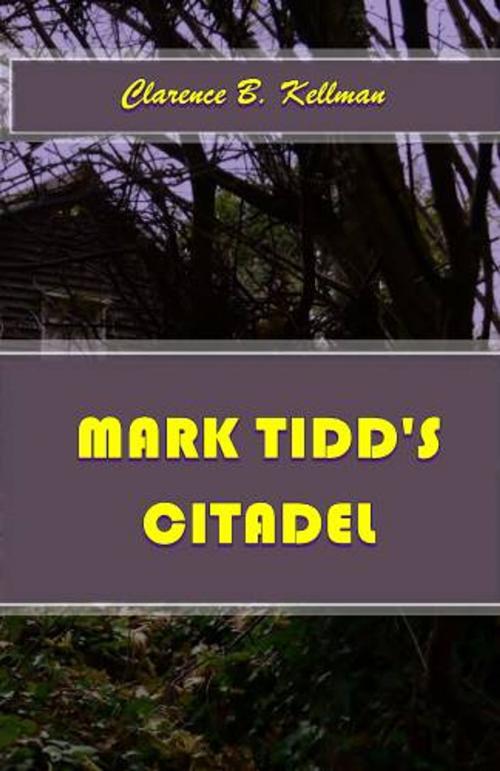 Cover of the book Mark Tidd's Citadel by Clarence Budington Kelland, Green Bird Press