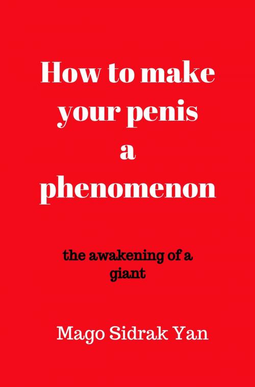 Cover of the book How To Make Your Penis A Phenomenon by Ramiro Augusto Nunes Alves, Mago Sidrak Yan, Ramiro Alves