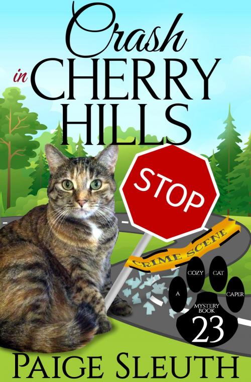 Cover of the book Crash in Cherry Hills by Paige Sleuth, Marla Bradeen