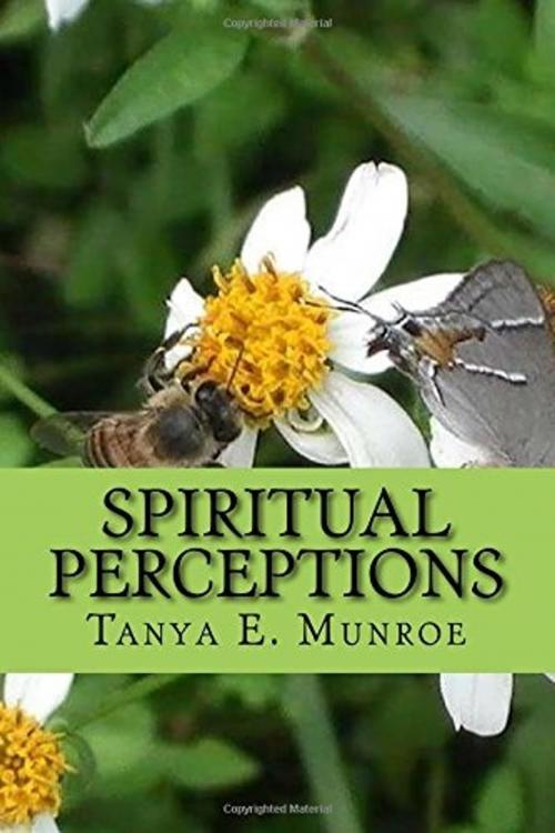 Cover of the book SPIRITUAL PERCEPTIONS by Tanya Munroe, Pro Type