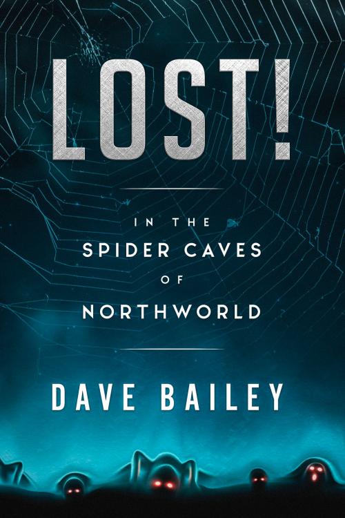 Cover of the book Lost! by Dave Bailey, Dave Bailey Media