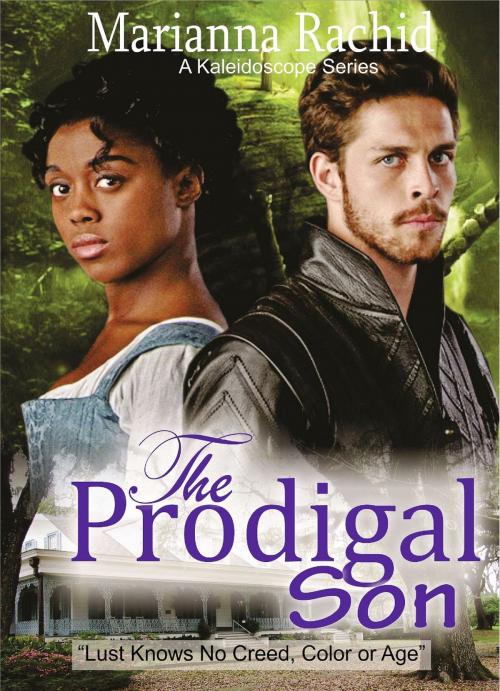 Cover of the book The Prodigal Son by Marianna S. Rachid, Marianna
