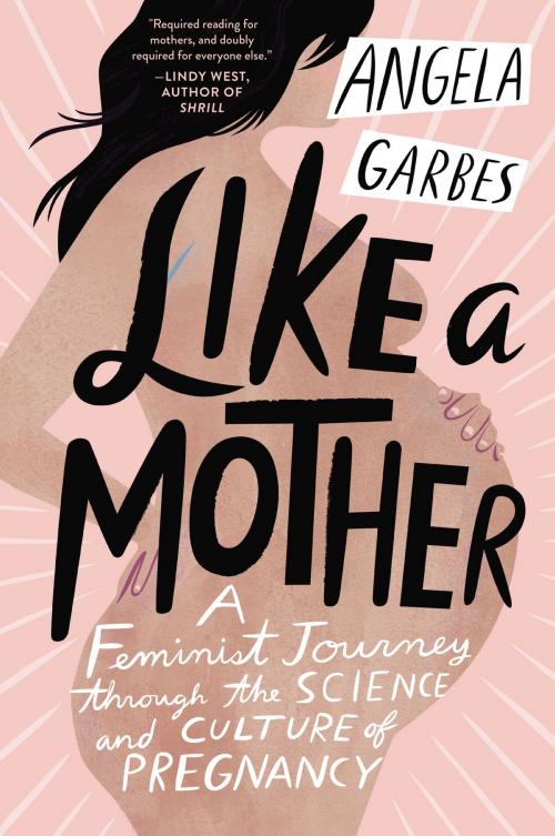 Cover of the book Like a Mother by Angela Garbes, Harper Wave