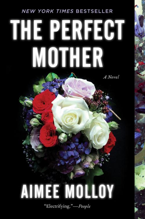 Cover of the book The Perfect Mother by Aimee Molloy, Harper