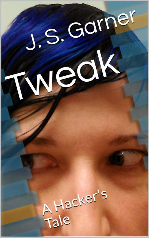 Cover of the book Tweak: A Hacker's Tale by J.S. Garner, J.S. Garner
