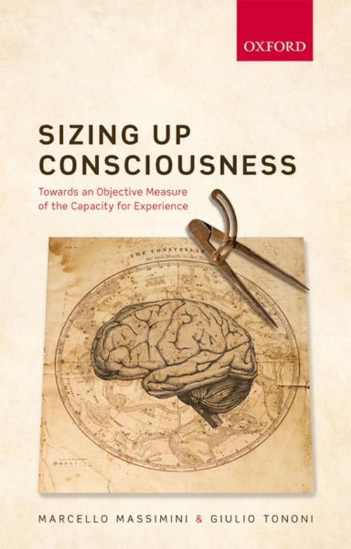 Cover of the book Sizing up Consciousness by Marcello Massimini, Giulio Tononi, OUP Oxford