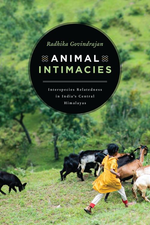 Cover of the book Animal Intimacies by Radhika Govindrajan, University of Chicago Press