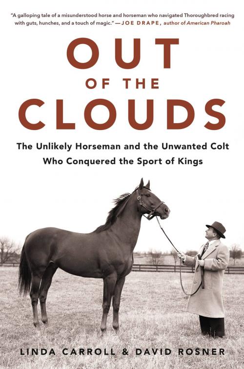 Cover of the book Out of the Clouds by Linda Carroll, David Rosner, Hachette Books