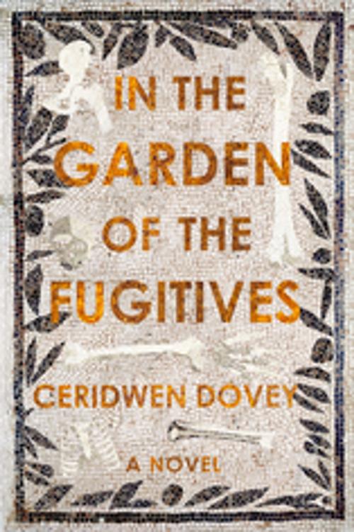 Cover of the book In the Garden of the Fugitives by Ceridwen Dovey, Farrar, Straus and Giroux