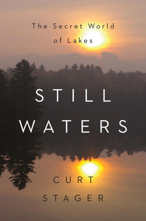 Cover of the book Still Waters: The Secret World of Lakes by Curt Stager, W. W. Norton & Company