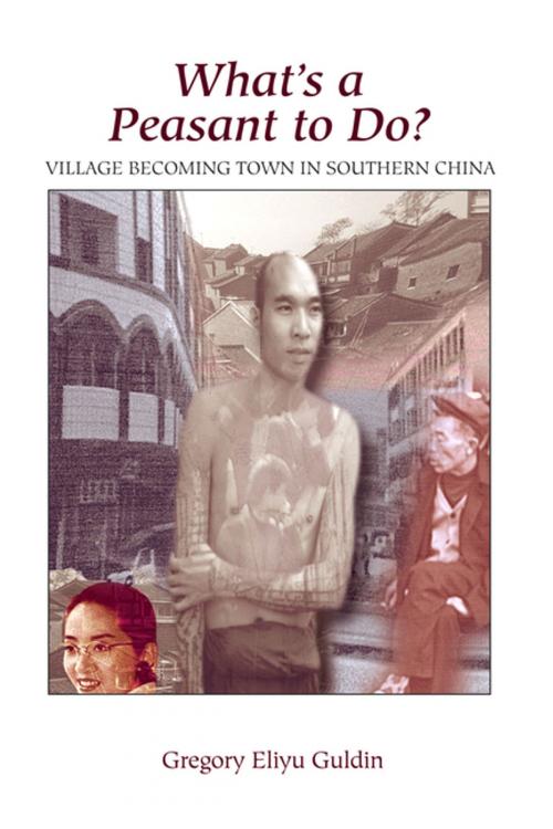 Cover of the book What's A Peasant To Do? Village Becoming Town In Southern China by Greg Guldin, Taylor and Francis