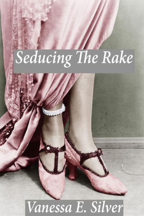 Cover of the book Seducing The Rake by Vanessa  E. Silver, Elizabeth Reed