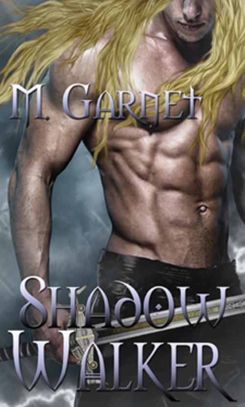 Cover of the book Shadow Walker by M. Garnet, New Concepts Publishing