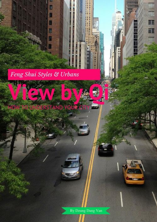 Cover of the book View by Qi by Dzung Dang Van, Dzung Dang Van