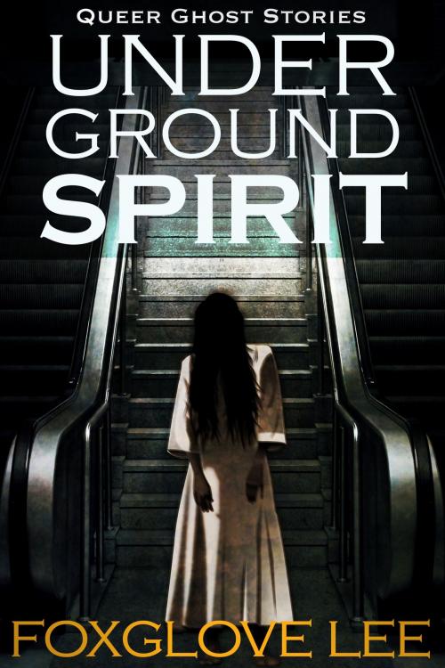 Cover of the book Underground Spirit by Foxglove Lee, Rainbow Crush
