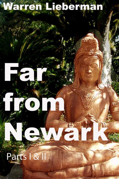 Cover of the book Far from Newark by Warren Lieberman, Warren Lieberman