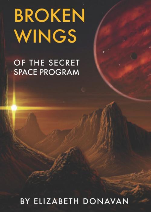 Cover of the book Broken Wings of the Secret Space Program by Elizabeth Donavan, Elizabeth Donavan