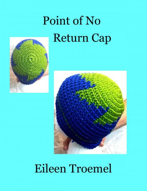 Cover of the book Point of No Return Cap by Eileen Troemel, Eileen Troemel