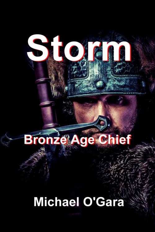 Cover of the book Storm: Bronze Age Chief by Michael O'Gara, Michael O'Gara