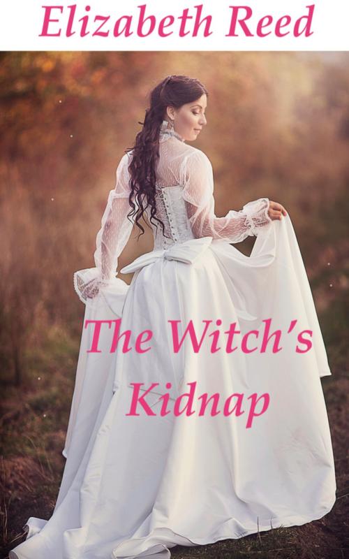 Cover of the book The Witch’s Kidnap by Elizabeth Reed, Elizabeth Reed