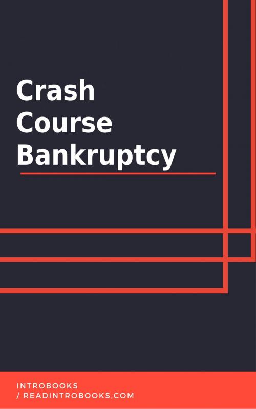 Cover of the book Crash Course Bankruptcy by IntroBooks, IntroBooks