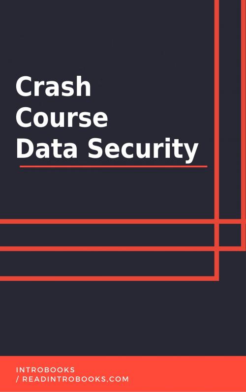 Cover of the book Crash Course Data Security by IntroBooks, IntroBooks