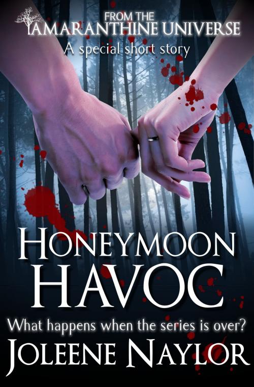 Cover of the book Honeymoon Havoc by Joleene Naylor, Joleene Naylor
