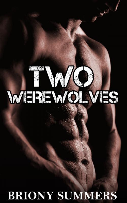 Cover of the book Two Werewolves by Briony Summers, Briony Summers