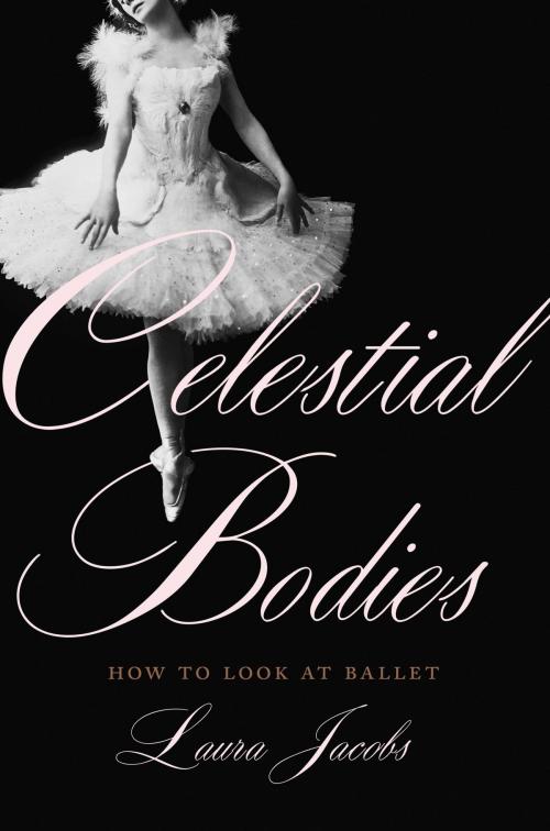 Cover of the book Celestial Bodies by Laura Jacobs, Basic Books