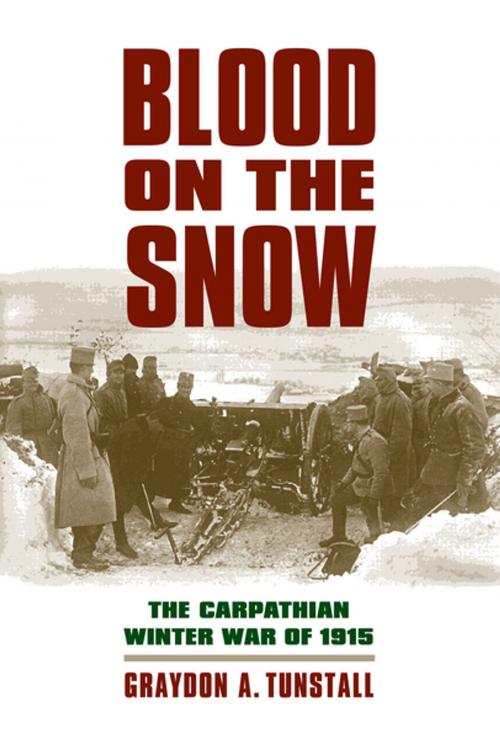 Cover of the book Blood on the Snow by Graydon A. Tunstall, University Press of Kansas