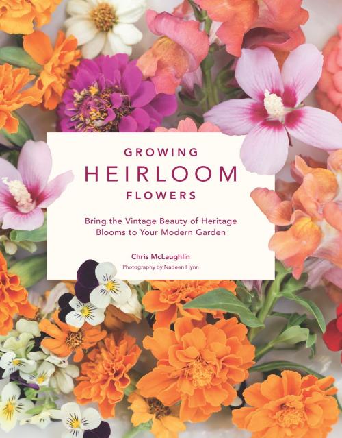 Cover of the book Growing Heirloom Flowers by Chris McLaughlin, Cool Springs Press