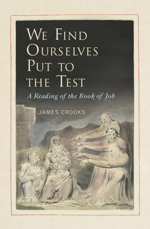 Cover of the book We Find Ourselves Put to the Test by James Crooks, MQUP