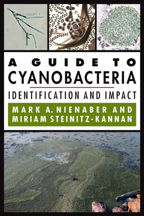 Cover of the book A Guide to Cyanobacteria by Mark A. Nienaber, Miriam Steinitz-Kannan, The University Press of Kentucky
